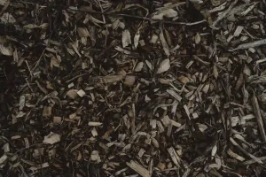 Gartenabfall entsorgen